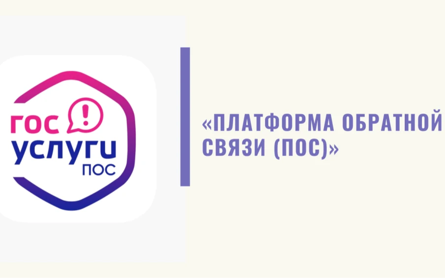 281 обращение от жителей поступило на Платформу обратной связи «Госуслуги. Решаем вместе» в 2025 году